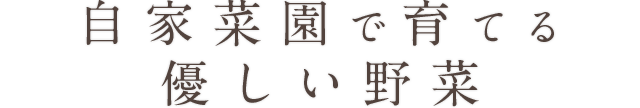 自家菜園で育てる